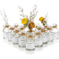 Glass Flowers Bud Vases Clear: 16Pcs 4.2oz with Twine Rope and Labels Boho Vases Apothecary Bottles Vintage Home Decor Vases for Centerpieces for Wedding Decor Centerpieces 2.2'' x 4.05''