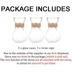 Glass Hyacinth Flower Vases 3PCS Set Vases for Centerpieces Clear Decorative Vase with Twine Rope for Hyacinth Flowers Rose Home Table
