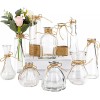 Nilos Small Vases Set 10 Clear Bud Vases for Centerpieces in Bulk Mini Vintage Vase with Rope for Rustic Wedding Decorations Events Home Table Flower Decor