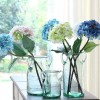 Noah Decoration Double Ear Hand-Blown and Handmade Transparent Flower and Filler Bubble Glass for Home and Wedding Indoor and Outdoor Decoration 11 inch Tall Size Large