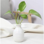 Small Ceramic vase Decoration Set 8 Pieces Suitable for Home Office Desktop Decoration Small vase