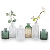 WILDMOS Glass Bud Vase Set of 6 Small Flower Vases for Decorative Gradient Glass and Embossed Style Mini Glass Bottles for Home Decor Vintage Glass Bottles for Centerpiece 3.3"-5.2''H. Clear+Gray
