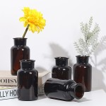 YONKAN Amber Glass Bud Vases Set of 6 Glass Vases Small Flower Vases Decorative Glass Bottles Vintage Look Apothecary Jars for Wedding Dining Table Home Decor Wide Amber