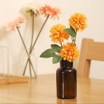 YONKAN Amber Glass Bud Vases Set of 6 Glass Vases Small Flower Vases Decorative Glass Bottles Vintage Look Apothecary Jars for Wedding Dining Table Home Decor Wide Amber