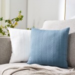 Booque Valley Pack of 2 Decorative Throw Pillow Covers Ultra Soft Modern Braid Patterned Square Blue Cushion Covers Stretchy Pillow Cases for Sofa Couch Bedroom20 x 20 inch Grey Blue
