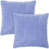Deconovo Set of 2 Sofa Pillows Covers 16x16 Inch Children Throw Pillow Covers for Bedroom Decorative Pillowcase for Home DecorLavender 16x16 Inch Pack of 2 No Pillow Insert