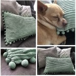 Fancy Homi Pack of 2 Sage Green Lumbar Decorative Throw Pillow Covers with Pom-poms Soft Corduroy Solid Rectangle Cushion Cases Set for Couch Sofa Bedroom Car Living Room 12x20 Inch 30x50 cm Green