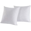 HOMESJUN Set of 2 95% Feather 5% Down Square Decorative Throw Pillow Insert 100% Cotton 24x24 Inch