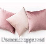 lalaLOOM Luxurious Silky Velvet Pillow Covers 18x18 Set of 2 Softest Decorative Throw Pillowcases Hidden Zipper Washable Home Décor Accent Cases for Living Room Couch Sofa Bedroom Soft Gray