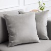 lalaLOOM Luxurious Silky Velvet Pillow Covers 18x18 Set of 2 Softest Decorative Throw Pillowcases Hidden Zipper Washable Home Décor Accent Cases for Living Room Couch Sofa Bedroom Soft Gray