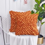 Leeden 20x20 Throw Pillow Covers Set of 2 Boho Decorative Pillowcases Christmas Fall Ruffle Cushion Cases Cover for Sofa Couch Bed Chair Home Decor Floral Soft Farmhouse Handmade 20 Inch Orange