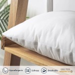 Phantoscope 18 x 18 Outdoor Pillow Inserts Pack of 4 Outdoor Pillows Water Resistant Throw Pillow Inserts Made in USA Hypoallergenic Square Decorative Couch Sham Cushion Stuffer 18 Inches
