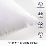 Phantoscope 18 x 18 Pillow Inserts Throw Pillow Inserts with 100% Cotton Cover Square Forms Pillow Sham Stuffer Decorative Couch Cushion Pillows 2 Pack 18 Inches