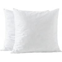 Premium Pillow Inserts 20x20-Shredded Memory Foam Fill-Home Couch Hotel Collection- Square Decorative Throw Pillow Inserts with Long Support- Cotton Fabric- 2 Pack