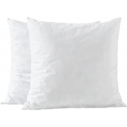 Premium Pillow Inserts 20x20-Shredded Memory Foam Fill-Home Couch Hotel Collection- Square Decorative Throw Pillow Inserts with Long Support- Cotton Fabric- 2 Pack