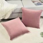 Rythome Set of 2 Comfortable Throw Pillow Cover for Bedding Decorative Accent Cushion Sham Case for Couch Sofa Soft Solid Velvet with Zipper Hidden 16"x16" Mauve Pink