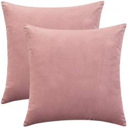 Rythome Set of 2 Comfortable Throw Pillow Cover for Bedding Decorative Accent Cushion Sham Case for Couch Sofa Soft Solid Velvet with Zipper Hidden 16"x16" Mauve Pink