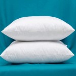 Set of 2 24 x 24 Inches Cotton Fabric Square Pillow Inserts Down and Feather Decorative Throw Pillows Inserts