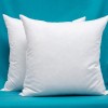 Set of 2 24 x 24 Inches Cotton Fabric Square Pillow Inserts Down and Feather Decorative Throw Pillows Inserts