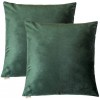 SOFTNOW 2 Pcs Throw Pillow Covers Soft Velvet Decorative Pillows Solid Square Cushion Pillowcase for Sofa Couch Bedroom car 20 x 20 inches Teal