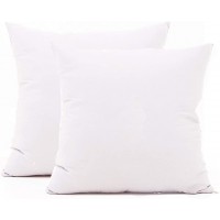TAOSON Set of 2,100% Cotton Soft Square Decorative Throw Pillow Protector Pillow Covers Sofa Solid Colors Couch Cushion Pillowcases with Hidden Zipper Only Cover No Insert White 22 x 22 inch