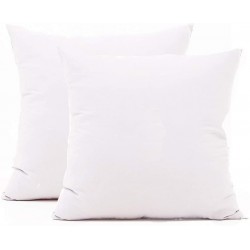 TAOSON Set of 2,100% Cotton Soft Square Decorative Throw Pillow Protector Pillow Covers Sofa Solid Colors Couch Cushion Pillowcases with Hidden Zipper Only Cover No Insert White 22 x 22 inch
