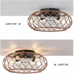 17'' Low Profile Caged Ceiling Fan with Lights Remote Control Metal Flush Mount Ceiling Fan Indoor 3 Speeds Adjustable Small Industrial Ceiling Fan with Light for Living Room Kitchen Bedroom
