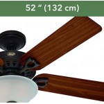Hunter Astoria Indoor Ceiling Fan with Lights and Pull Chain Control
