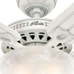 Hunter Beachcomber Indoor Outdoor Ceiling Fan with LED Light and Pull Chain Control