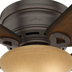 Hunter Conroy Indoor Low Profile Ceiling Fan with LED Light and Pull Chain Control 42" Onyx Bengal