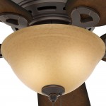 Hunter Conroy Indoor Low Profile Ceiling Fan with LED Light and Pull Chain Control 42" Onyx Bengal