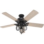 Hunter Fan Company 50409 Hunter Rustic 52 Inch Starklake Indoor or Outdoor Ceiling Fan with 3 LED Edison Bulbs Pull Chain Control and Quiet 3 Speed Motor 52 Natural Iron Finish