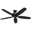 Hunter Fan Company 53243 Builder Elite Indoor Ceiling Fan with Pull Chain Control 52" Matte Black