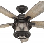 Hunter Fan Company 59420 Coral Bay Indoor Outdoor Ceiling Fan with LED Light and Remote 52 Black