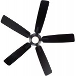 Mykonos Indoor and Outdoor 5-Blade Smart Ceiling Fan 60in Matte Black with 3000K LED Light Kit and Remote Control