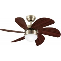 Westinghouse Lighting 7234700 Turbo Swirl Indoor Ceiling Fan with Light 30 Inch Antique Brass