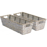 DII Trapezoid Seagrass Metallic Basket 16x5x4-Set of 2 Silver