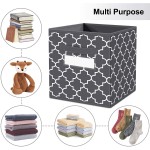 FabTotes Storage Bins 6 Pack Collapsible Storage Cubes 11"x10.5"x10.5" Large Toy Book Organizer Boxes with Handles and Label Card & Label Holder Baskets for Organizing Closet Shelves Dark Grey