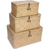 TICYACK Straw Storages Baskets With Lid Hand-Woven for Seagrass The Edge is Reinforced With Metal for Desktop Home Decoration S M L