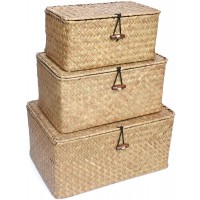 TICYACK Straw Storages Baskets With Lid Hand-Woven for Seagrass The Edge is Reinforced With Metal for Desktop Home Decoration S M L