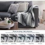 Bedsure Fleece Throw Blankets for Couch Grey Cozy Lightweight Soft Throws and Blankets for Sofa 50 x 60 Inches
