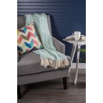 DII Rustic Farmhouse Cotton Diamond Patterned Blanket Throw with Fringe for Chair Couch Picnic Camping Beach & Everyday Use 50 x 60 Aqua Diamond Stitch