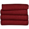 Sunbeam Heated Throw Blanket | Fleece 3 Heat Settings Garnet TSF8US-R310-31A00