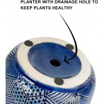 5.5 Inch Ceramic Planter with Drainage Hole and Saucer Round Blue Flower Plant Pot for Indoor Plants Set of 2