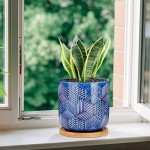 5.5 Inch Ceramic Planter with Drainage Hole and Saucer Round Blue Flower Plant Pot for Indoor Plants Set of 2