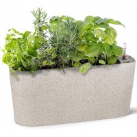 Amazing Creation Windowsill Rectangular Self Watering Herb Garden Large Plastic Planter Pot for Herbs Greens Flowers House Plants and Succulents Indoor Outdoor Flower Pot Stone Color