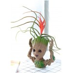 Baby Groot Planter Flower Pot Baby Groot Head Flower & Succulent Planter Pot with Drain Hole Small Cactus Flower Gardening Pots Indoor & Outdoor for Under 4 inch Succulent | Happy Baby Groot