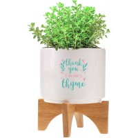 Cheersville Modern Mini Ceramic Planter Kit Includes Ceramic Planter Bamboo Stand Appreciate