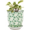 Chive ‘Liberte’ Ceramic Planter Pot — Cute Beautiful Plant Pots for Indoor & Outdoor Flowers & House Plants — Green Leaves