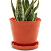 Chive ‘Tika’ Ceramic Planter Pot — Cute Beautiful Plant Pots for Indoor & Outdoor Flowers & House Plants — Large 8" x 7.5" — Orange
